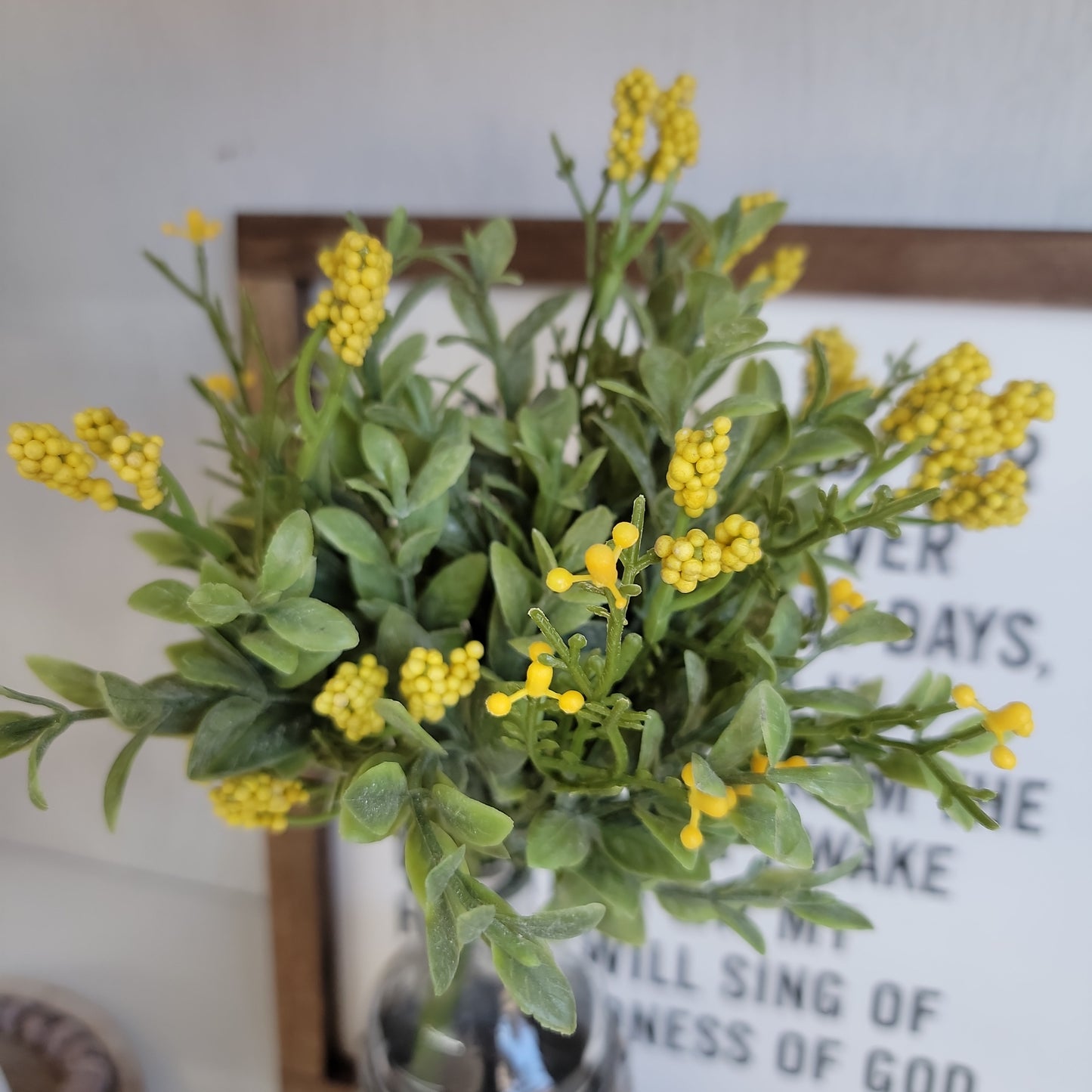 Nottingham Berry Bush Yellow