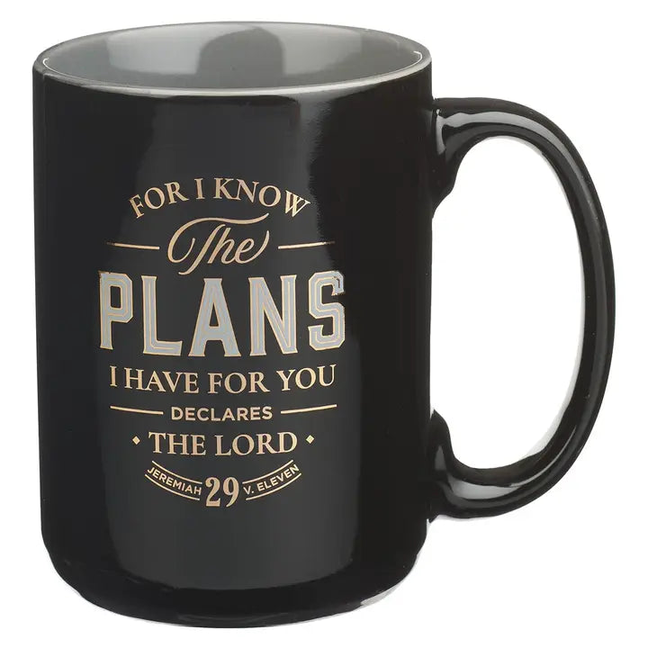 I Know the Plans Mug