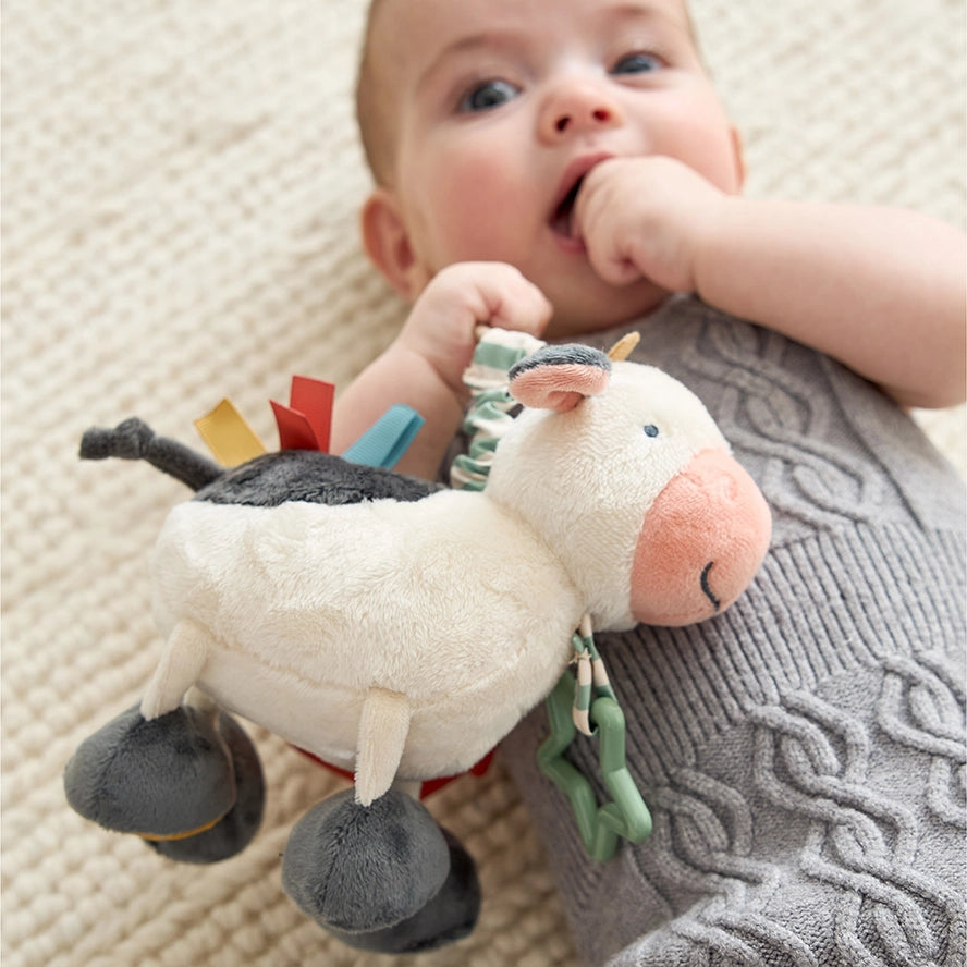 Itzy Ritzy Cow Activity Plush