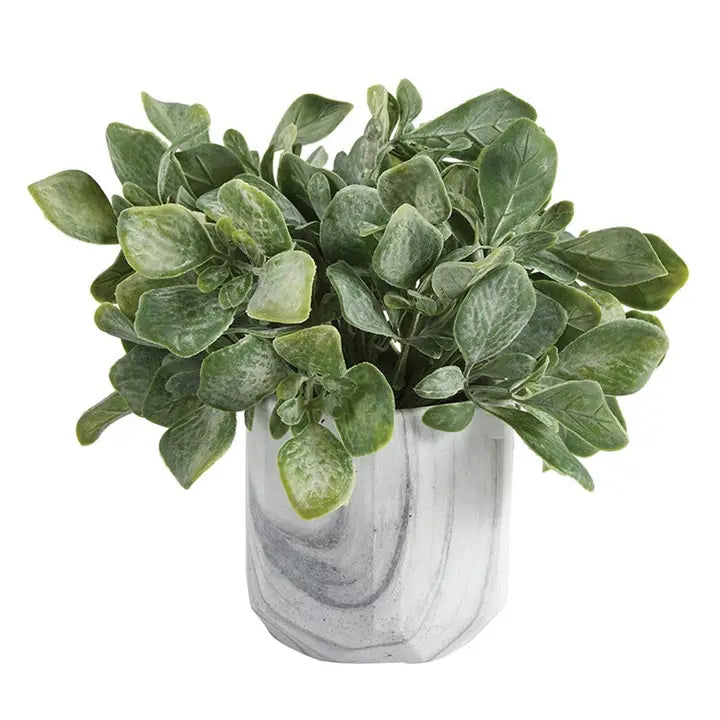 Greens in Marble Pot
