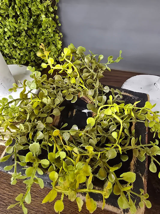 9" Baby Grass Can Ring