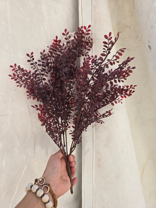 18in Red Ruta  Rue Bush