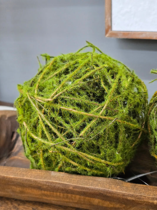 Moss Ball