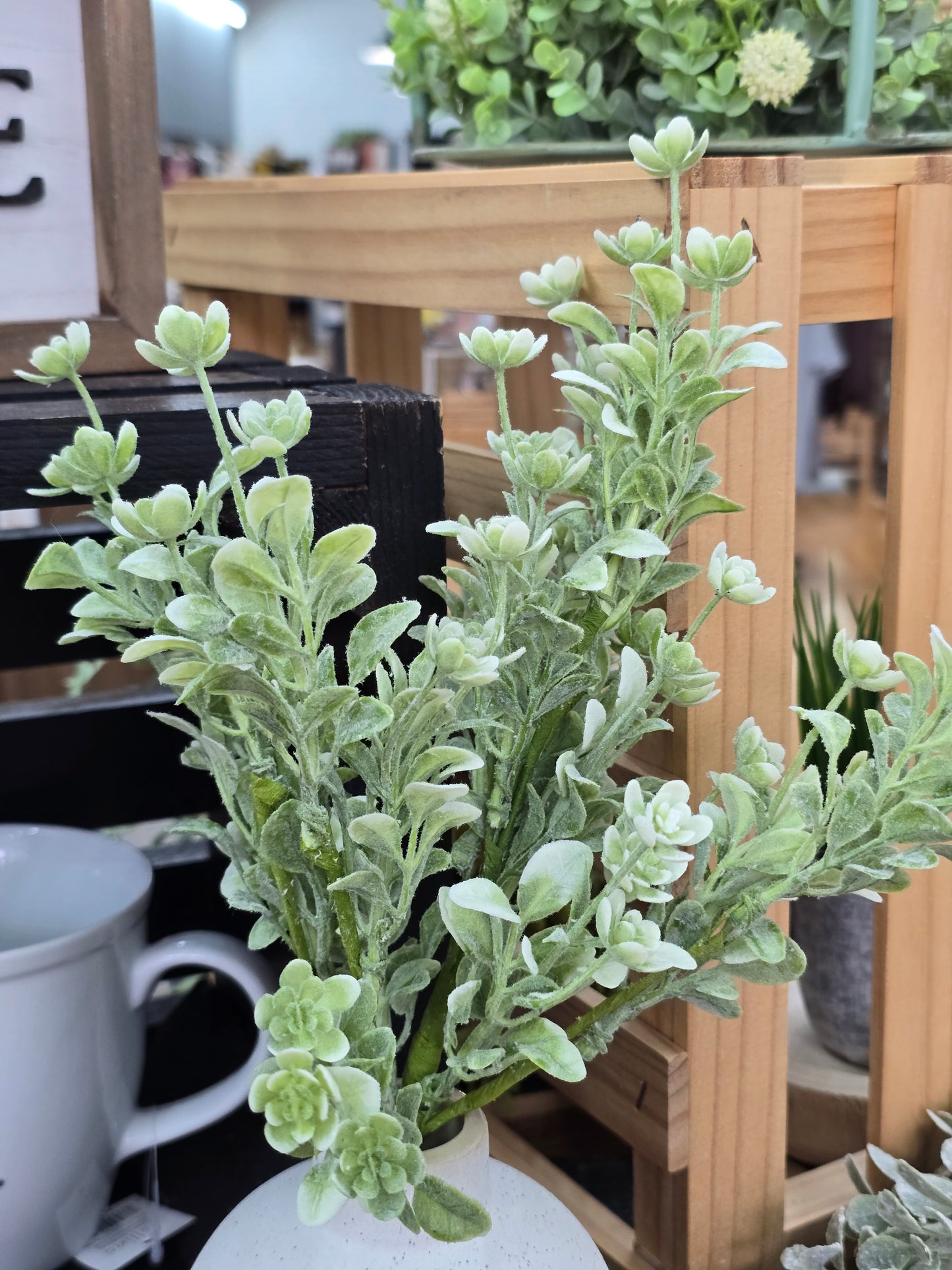 12" White Star Lavender Buds Bush