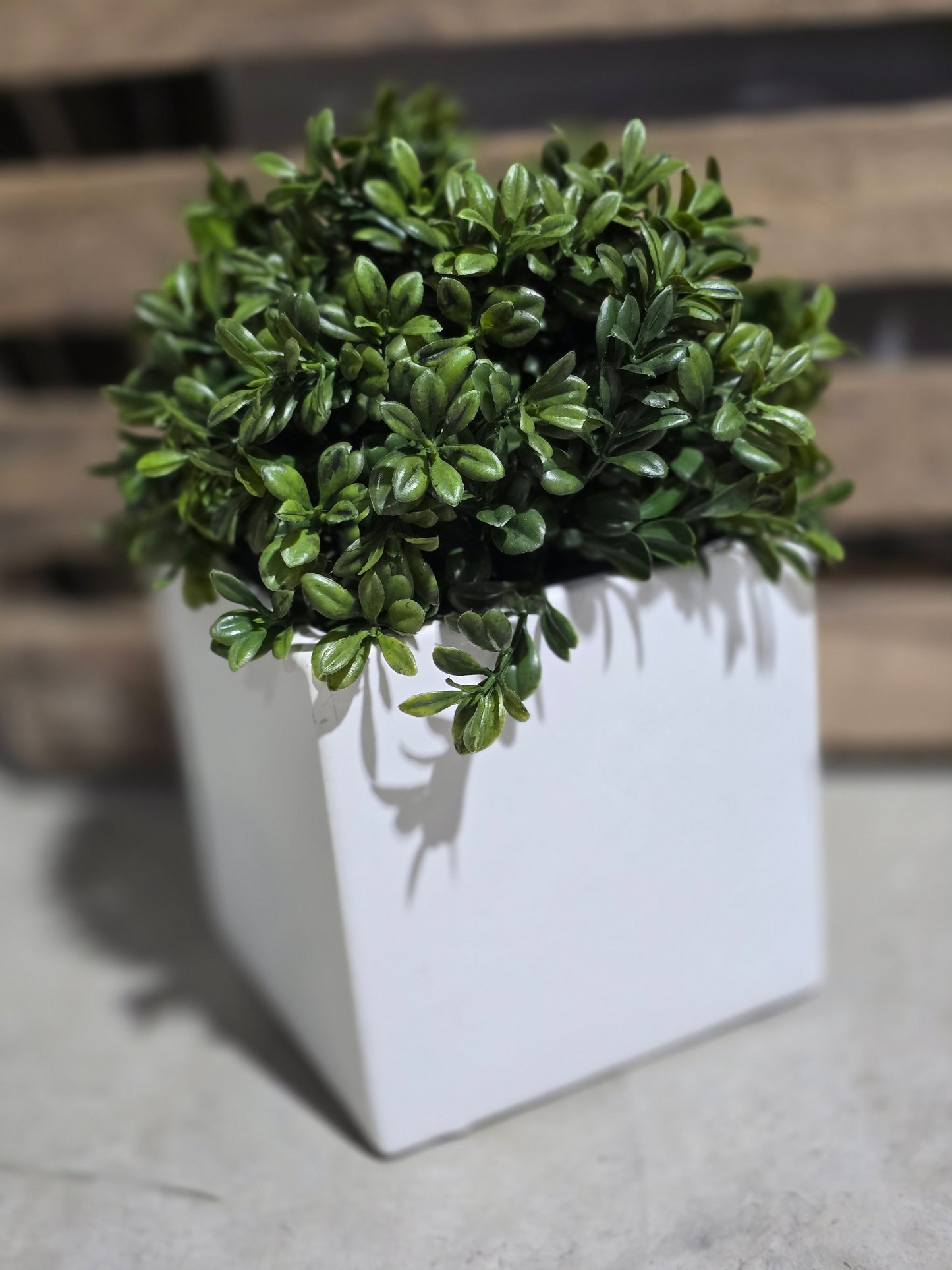 White Ceramic Square Pot