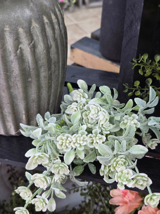 12" White Star Lavender Buds Bush