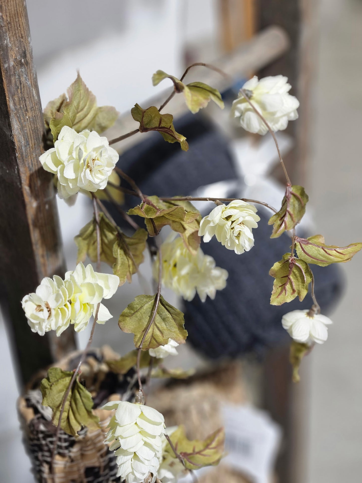 White Droopy Flower Stem
