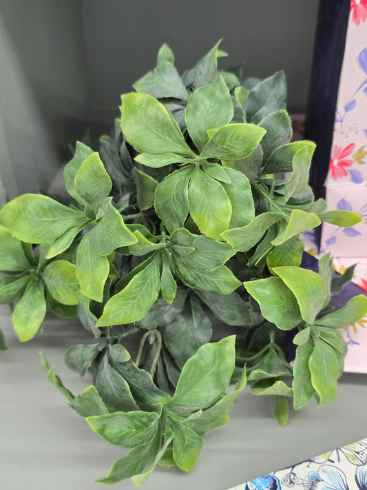 13" Suffolk Leaves Bush