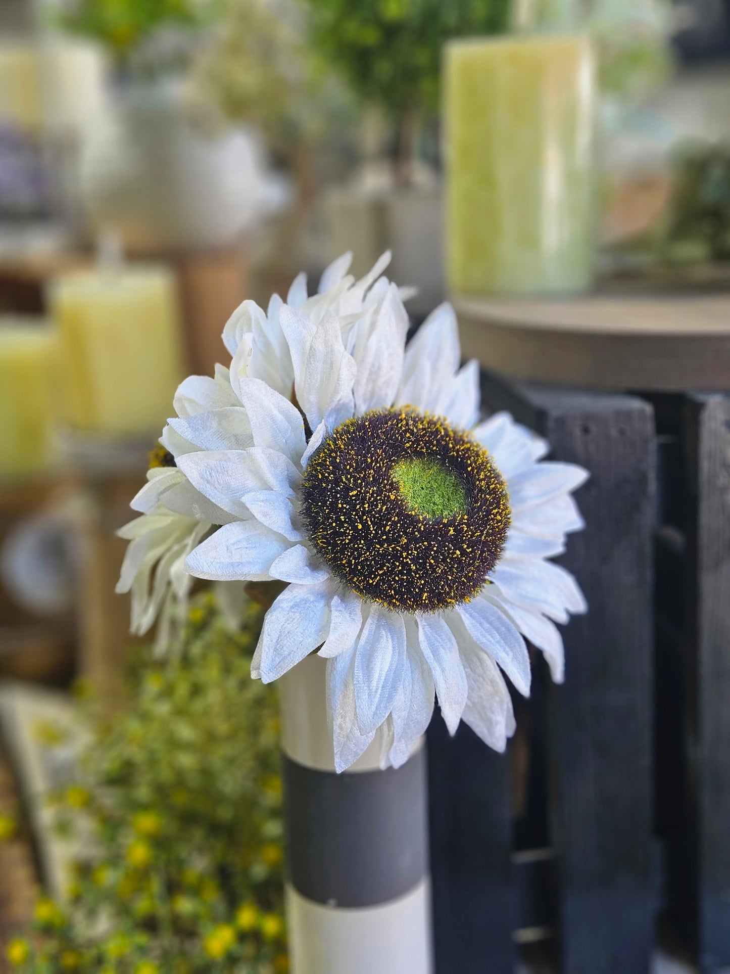 Cream Sunflower Pick