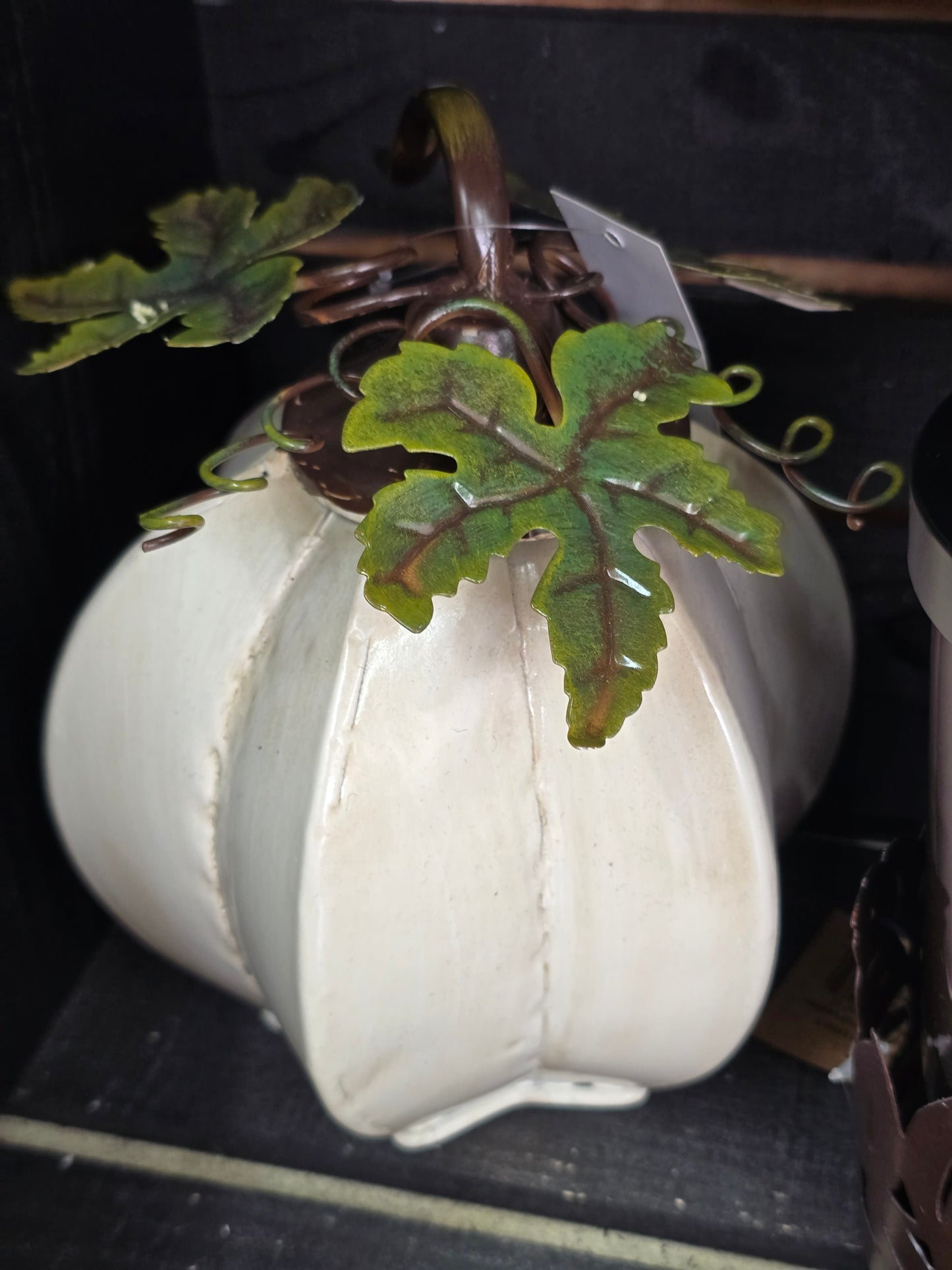 Moonbeam Pumpkin 7.25"