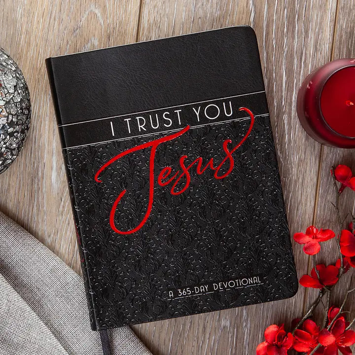 I Trust You Jesus