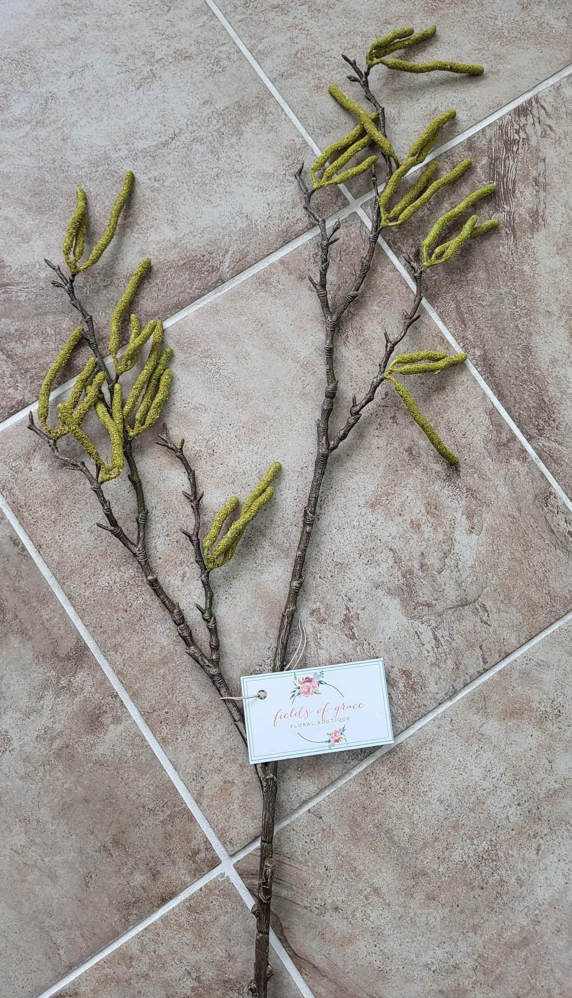 Catkin Branch 39"