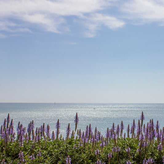 Salt And Sea 1803 Candle