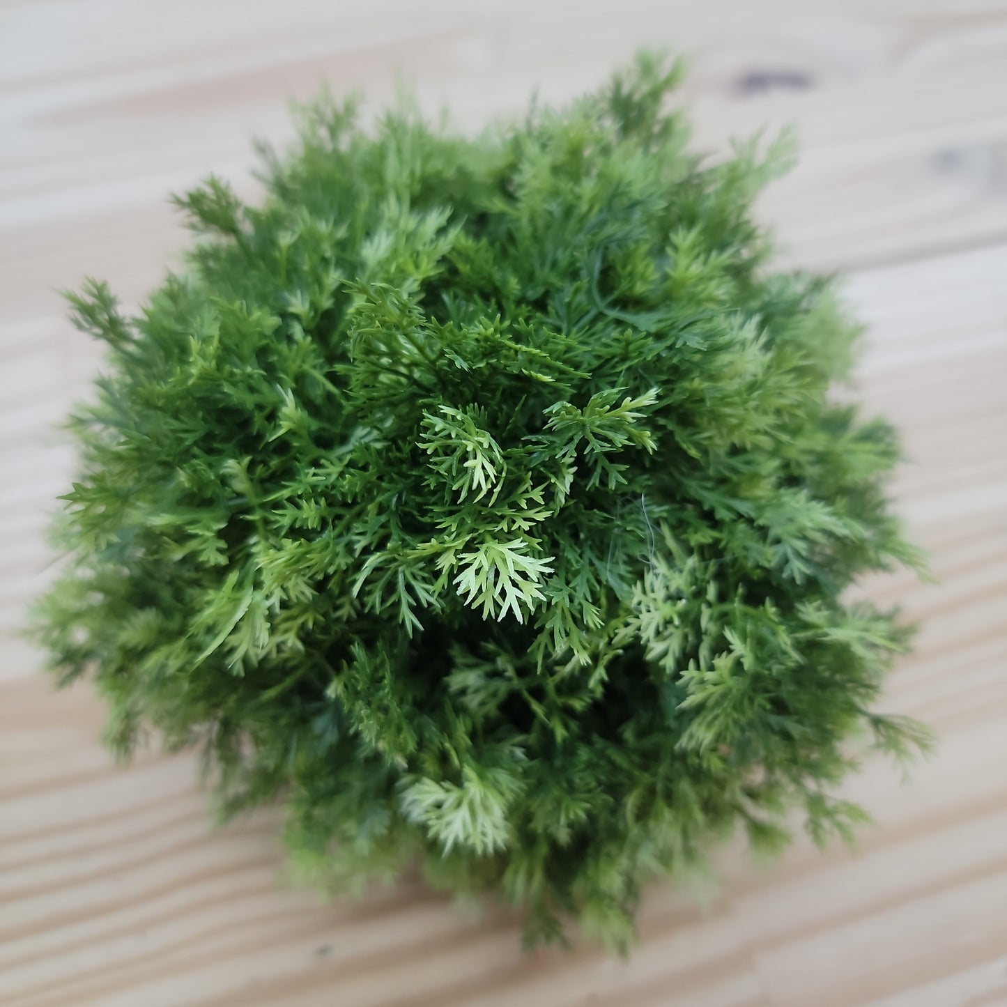 Plastic Greenery Orb 5" Diameter