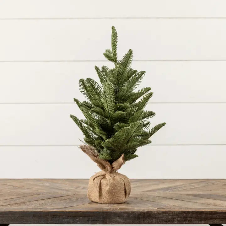 20" Pine Tree w/ Burlap