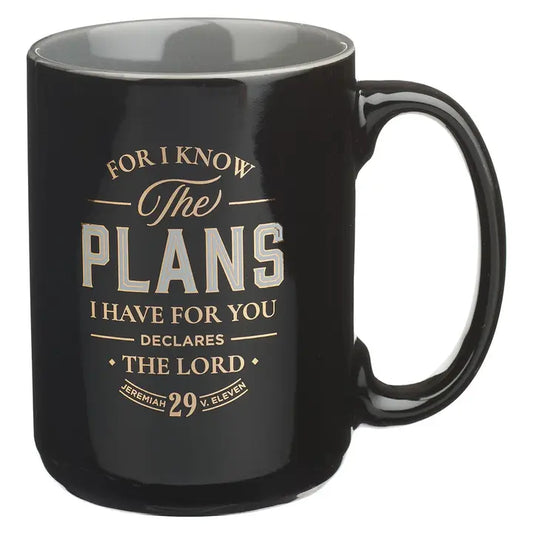 I Know the Plans Mug