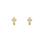 Zeal gold Earrings
