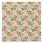 Peaches Eco-Friendly Washcloth
