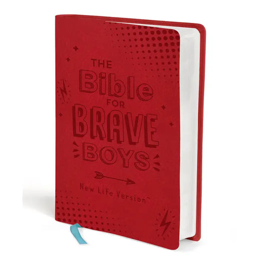 Bible for Brave Boys