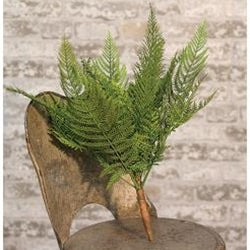 Deer Fern Bush, 16"