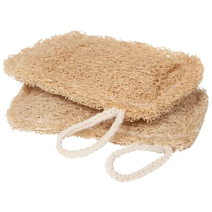 Loofah Dish Sponge Set of 2