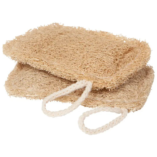 Loofah Dish Sponge Set of 2