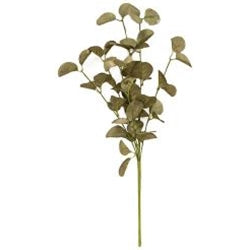 Silver Dollar Sage Spray