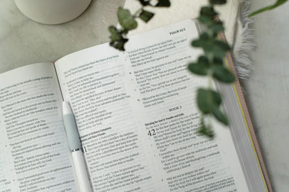 Light for Life Bible