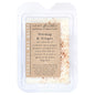 Nutmeg & Ginger 1803 Melt
