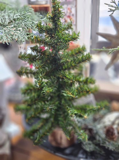 12" Mini Canadian Tree