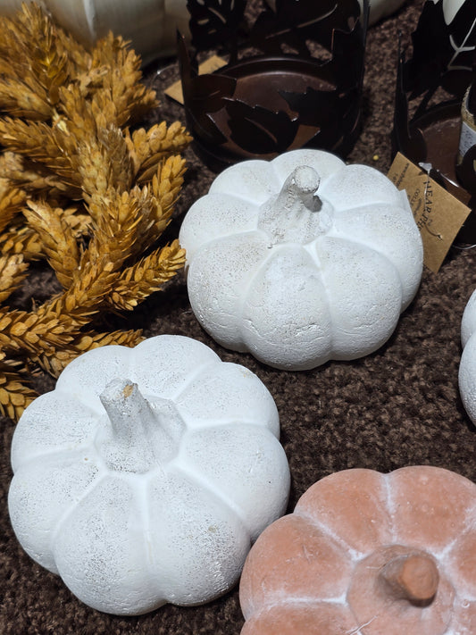 4.75in Terracotta Pumpkin-white