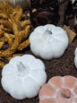 4.75in Terracotta Pumpkin-white