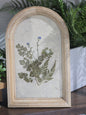 10" Pressed Flower Frame