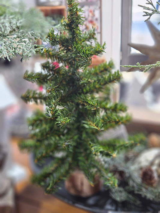 12" Mini Canadian Tree