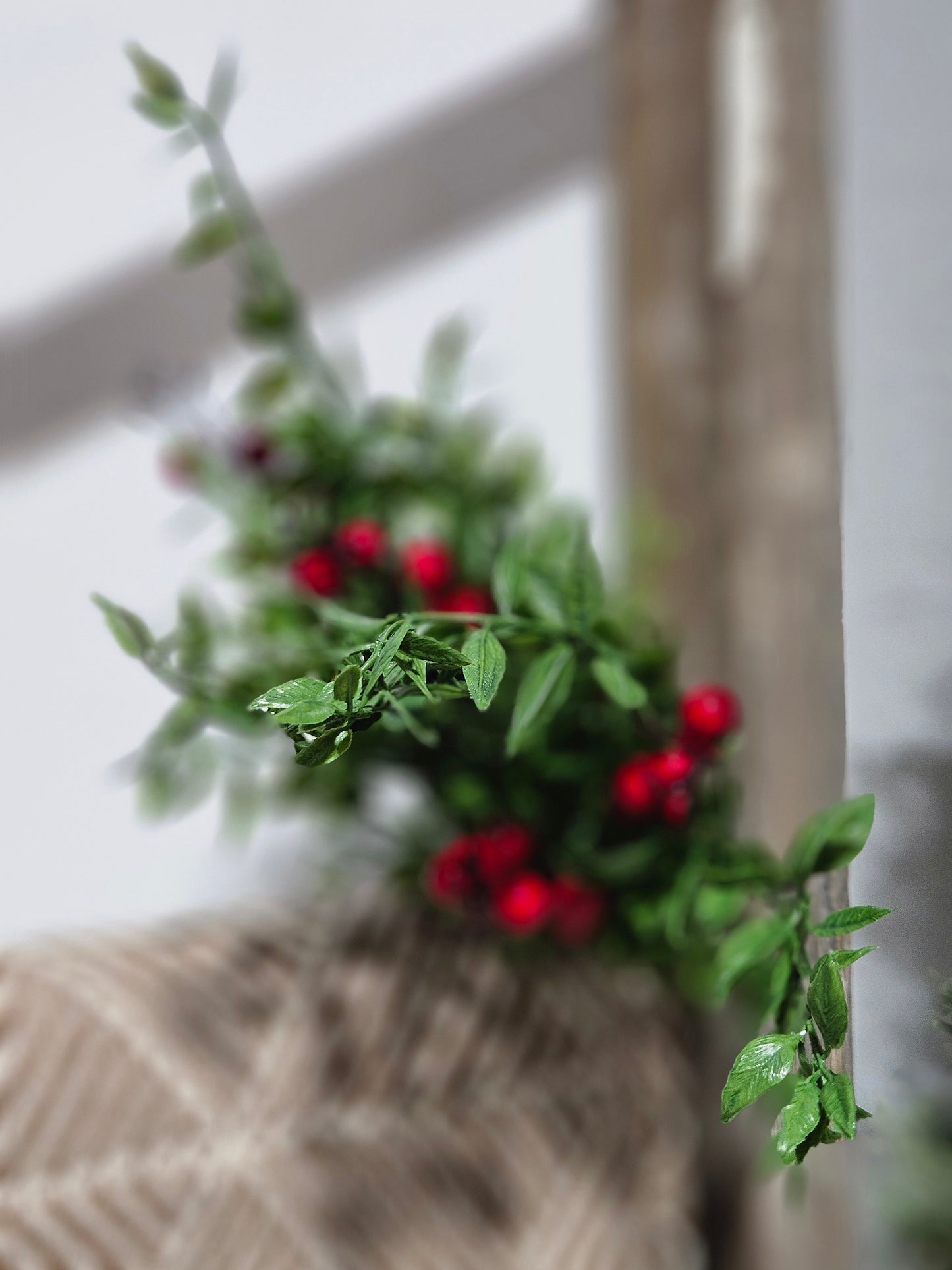 Lady Ruscus & Berries Bush