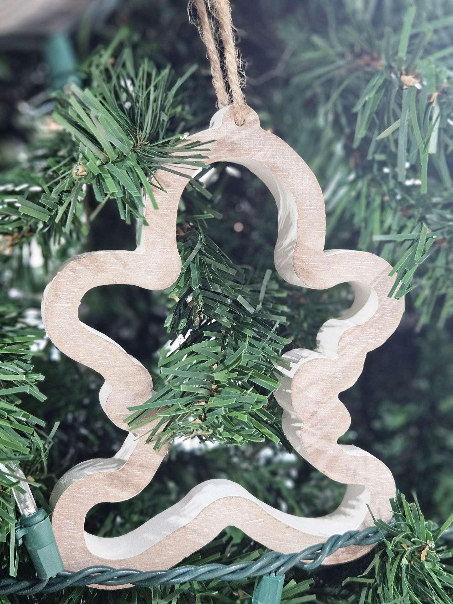 Cookie Cutter Ornaments
