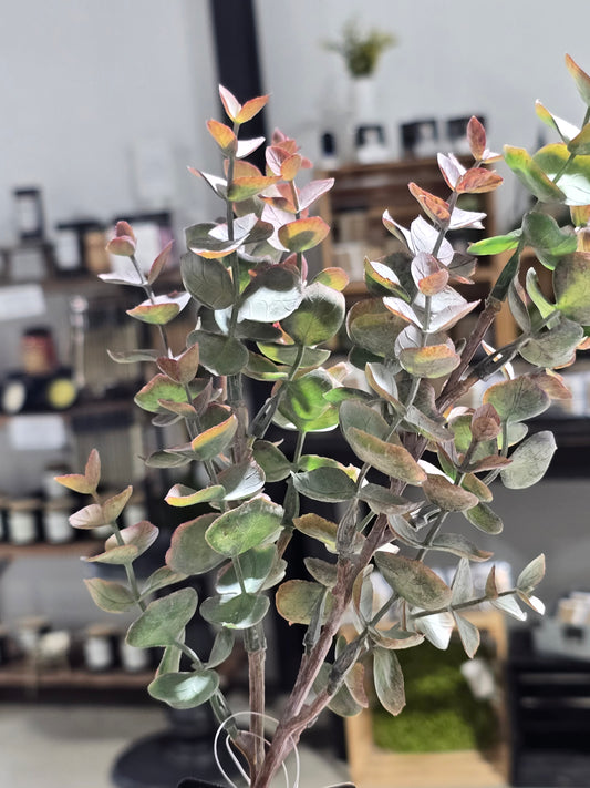 17in Eucalyptus Stem Pick
