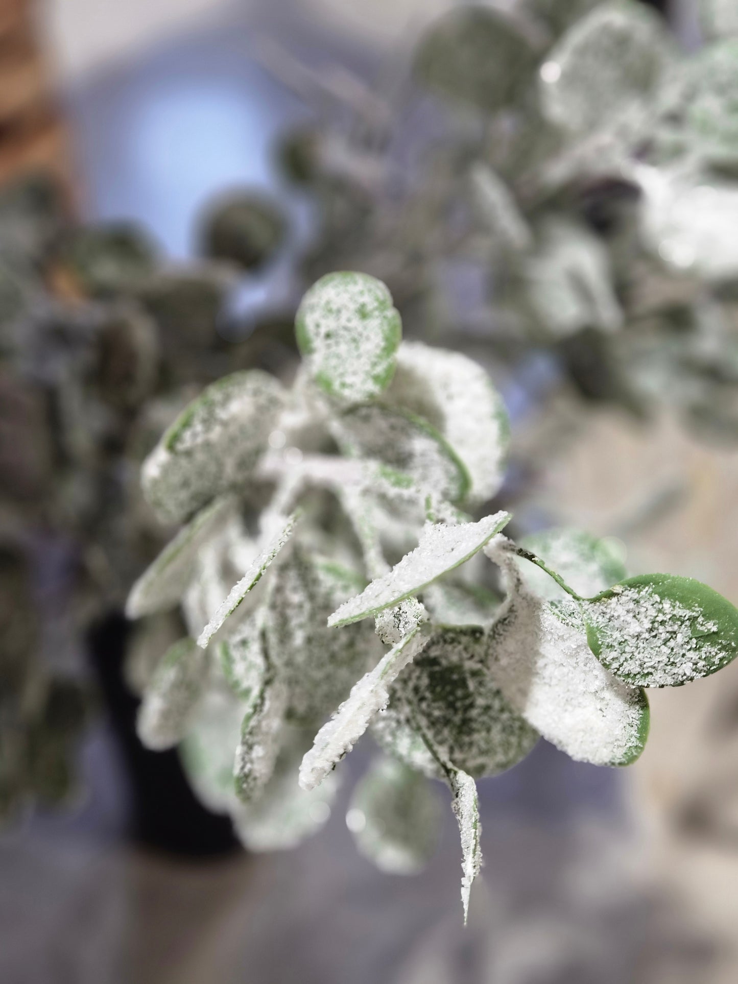 32" Glittered Eucalyptus