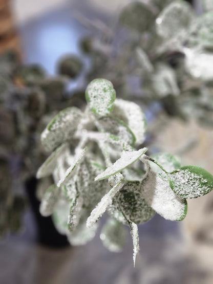 32" Glittered Eucalyptus