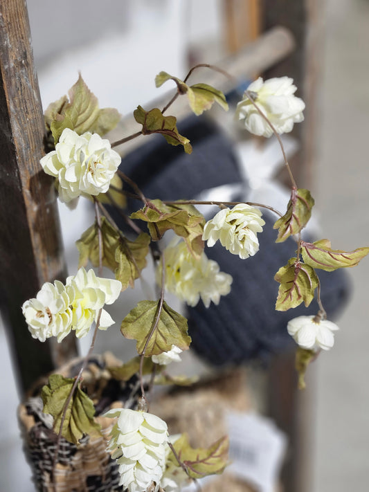 White Droopy Flower Stem