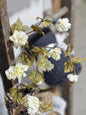 White Droopy Flower Stem