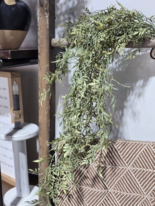 35IN Ficus Hanging Bush