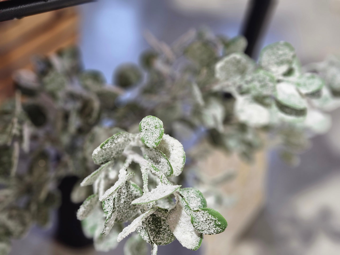 32" Glittered Eucalyptus