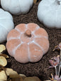 4.75in Terracotta Pumpkin-orange
