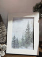 Evergreen Forrest Frame