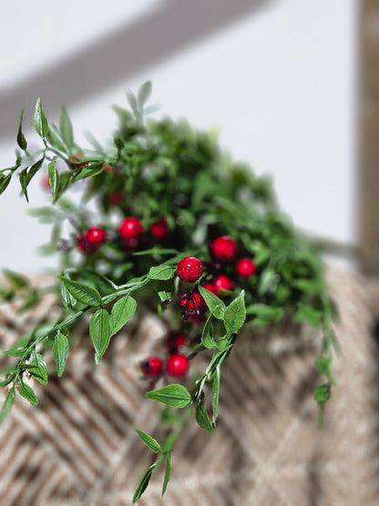 Lady Ruscus & Berries Bush