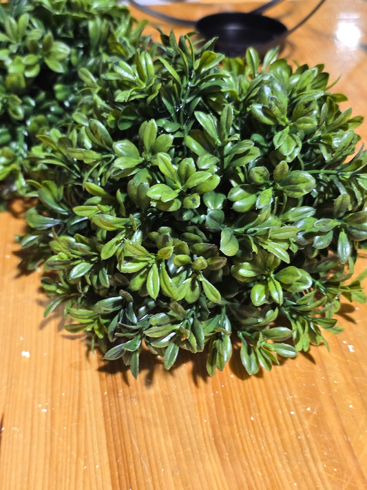 Galilee Boxwood Half Sphere