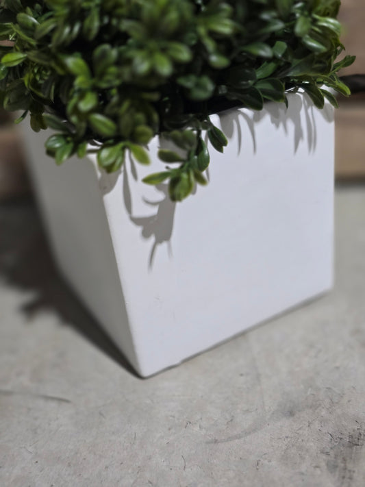 White Ceramic Square Pot