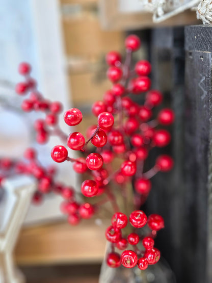13" Winter Gooseberry Pick
