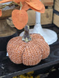 Mini Orange Pumpkin